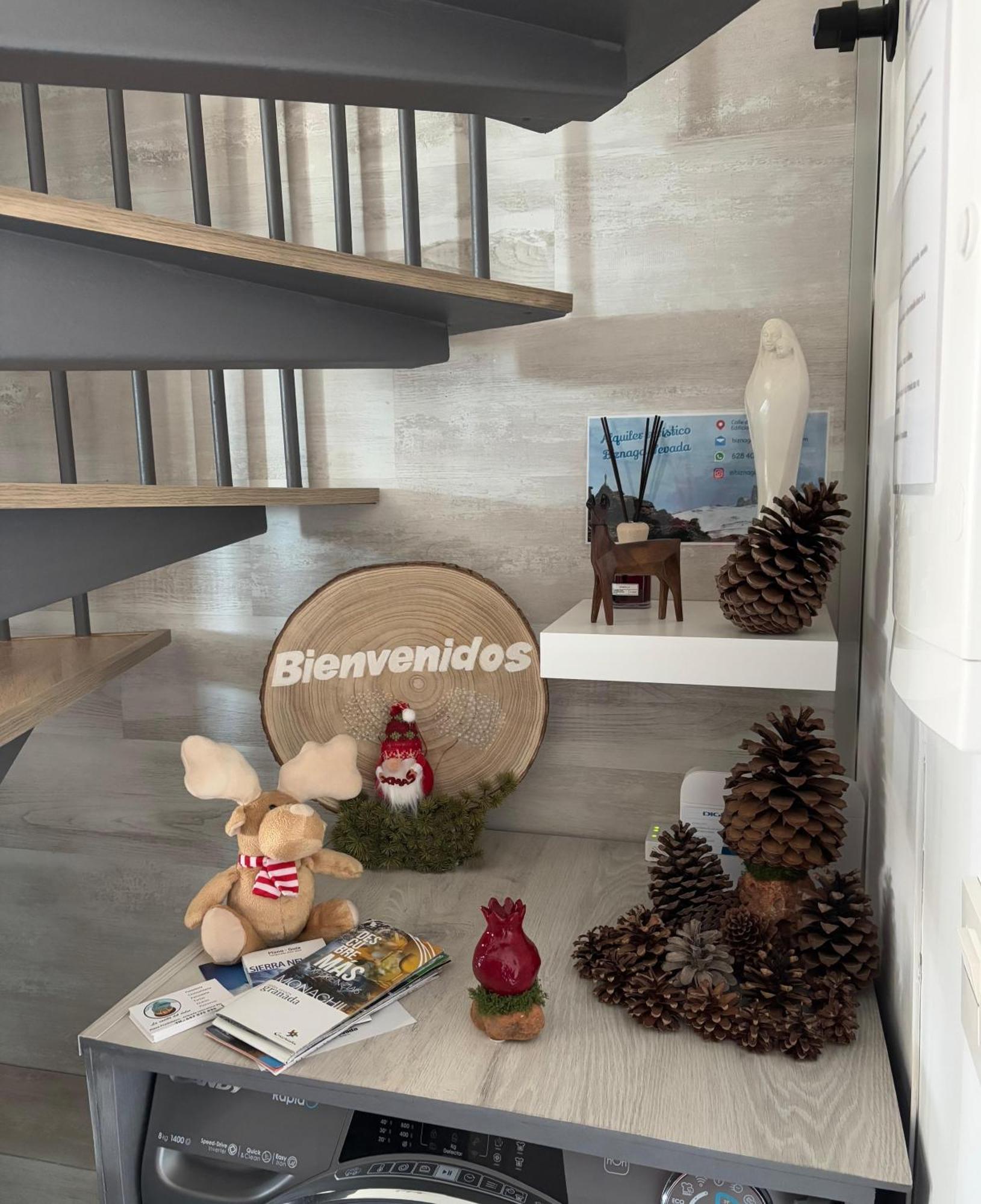 Apartamento Biznaga Nevada Granada Exterior foto